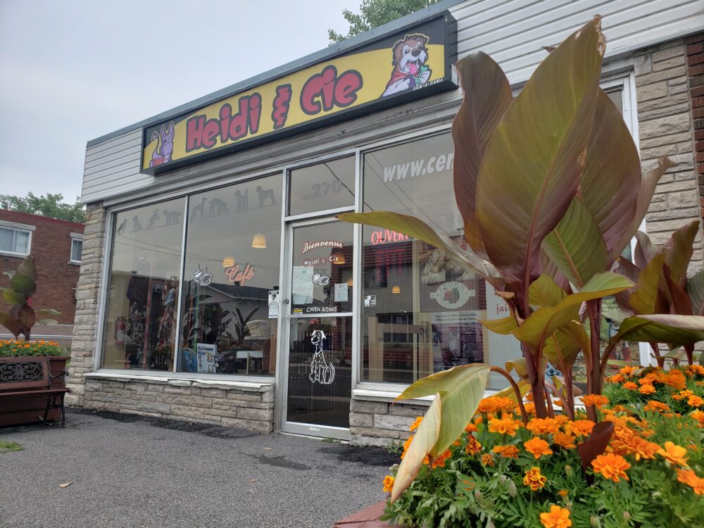 Boutiques pour chien et chat Heidi & cie - Animalerie de Longueuil - Produits naturels pour chiens et chats