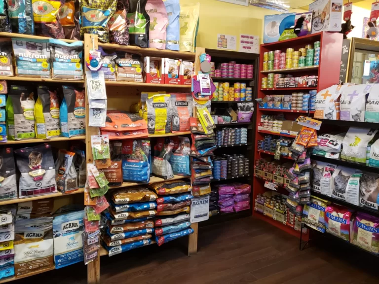 dog and cat food in Longueuil